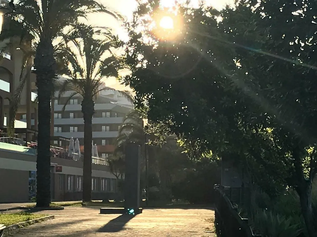 Apartamentos Do Mar 303 فونشال 0*,